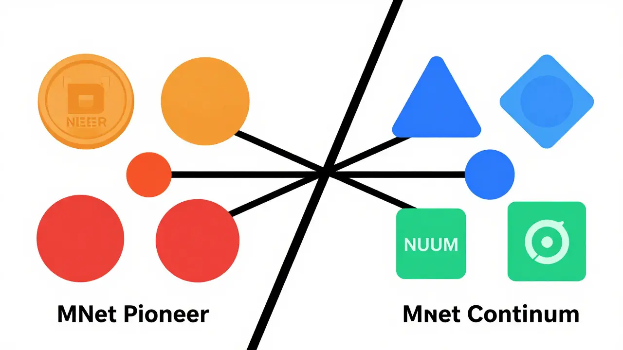 Airdrop NUUM (Bit.Country) par MNet : Guide complet des détails et distribution